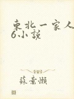 东北一家人1一6小说
