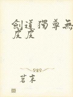 剑道独尊无弹窗皮皮