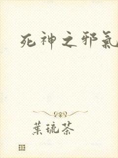 死神之邪气一护