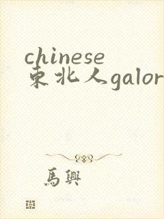 chinese东北人galore