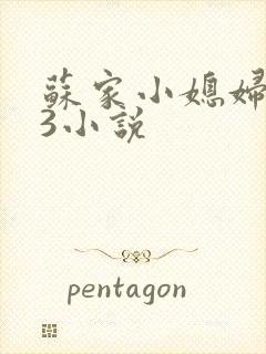 苏家小媳妇1V3小说