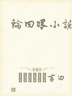 轮回眼小说