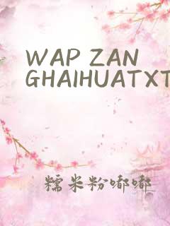 WAP ZANGHAIHUATXT