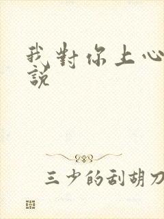 我对你上心了小说