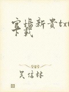 官场新贵txt下载