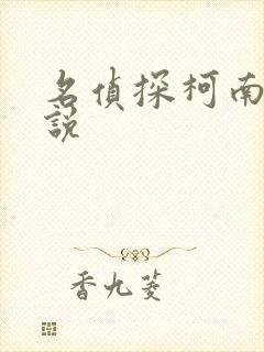 名侦探柯南h小说