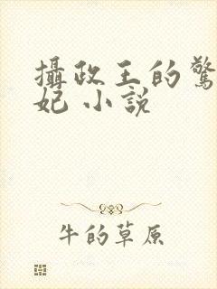 摄政王的惊世嫡妃 小说