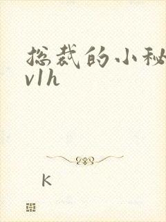 总裁的小秘书1v1h