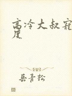 高冷大叔宠妻无度