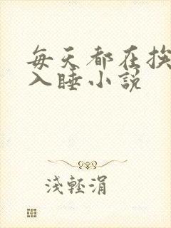 每天都在挨龠中入睡小说
