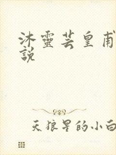 沐灵芸皇甫霆小说