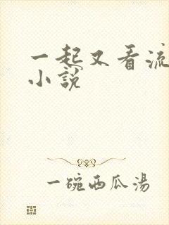 一起又看流星雨小说