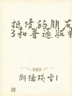 抵债的朋友麦子3和普通版对比