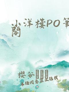 小洋楼PO笔趣阁
