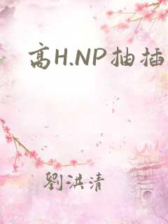 高H.NP抽插