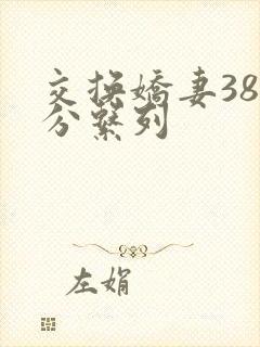 交换娇妻38部分系列