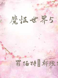 魔怔世界5