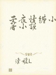 子夜情缠小说原著小说