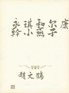 永琪和尔康一起干小燕子