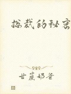 总裁的秘密娇妻