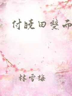 付晓田双面间谍