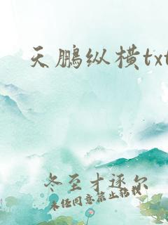 天鹏纵横txt