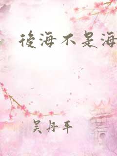 后海不是海小说