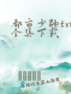 都市少帅txt全集下载