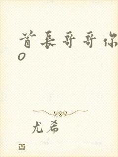 首长哥哥你好po