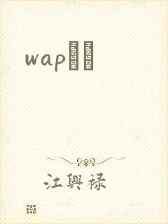 wapС˵