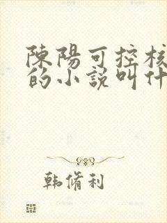 陈阳可控核聚变的小说叫什么名字