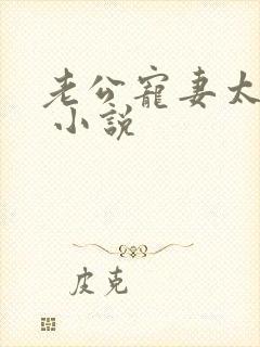 老公宠妻太甜蜜 小说