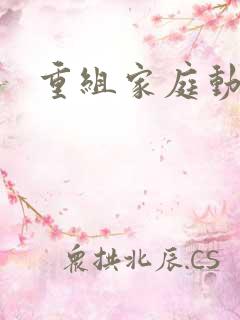 重组家庭动漫