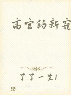高官的新宠