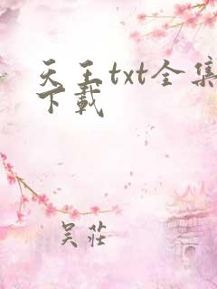 天王txt全集下载
