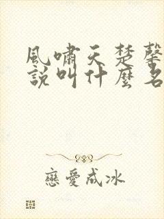 风啸天楚馨月小说叫什么名字