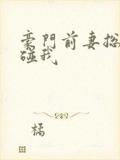 豪门前妻总裁别碰我