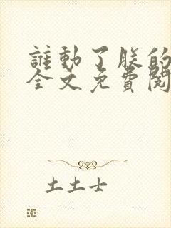 谁动了朕的废后全文免费阅读