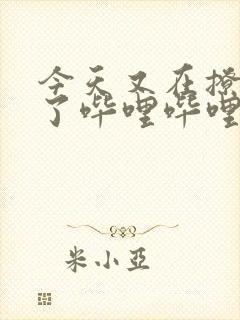 今天又在撩后妈了哔哩哔哩小说