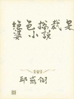 绝色总裁是我老婆 小说