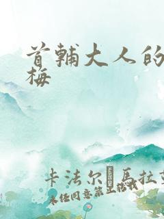 首辅大人的小青梅