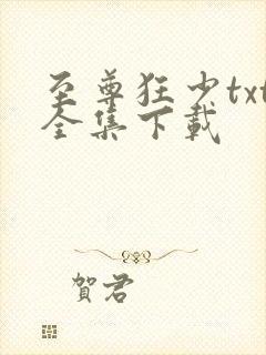 至尊狂少txt全集下载