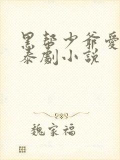 黑帮少爷爱上我泰剧小说