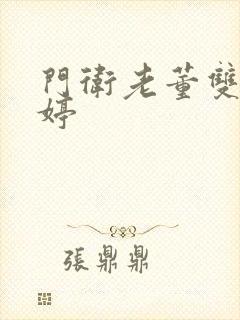 门卫老董双飞陈婷