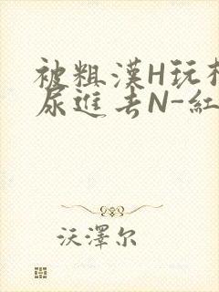 被粗汉H玩松了尿进去N-红-Q