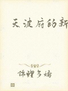 天波府的新姑爷