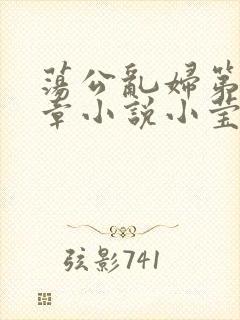 荡公乱妇第51章小说小莹