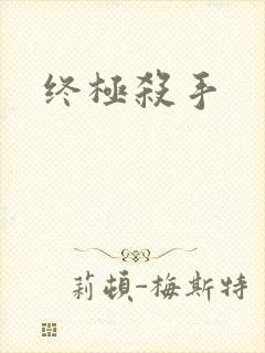 终极杀手