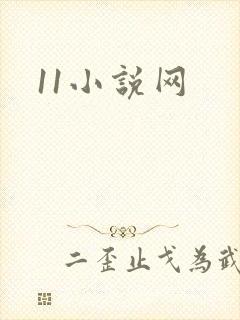 11小说网