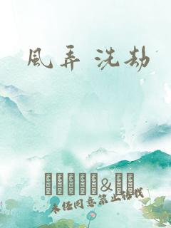 风弄 洗劫